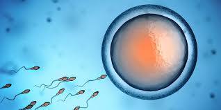 Sperma bevat relatief veel omega-3 - Care by Nature