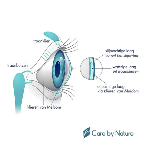 9 tips om je ogen zo lang mogelijk gezond te houden - Care by Nature